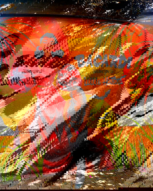 elsgatti image ~ Altpins