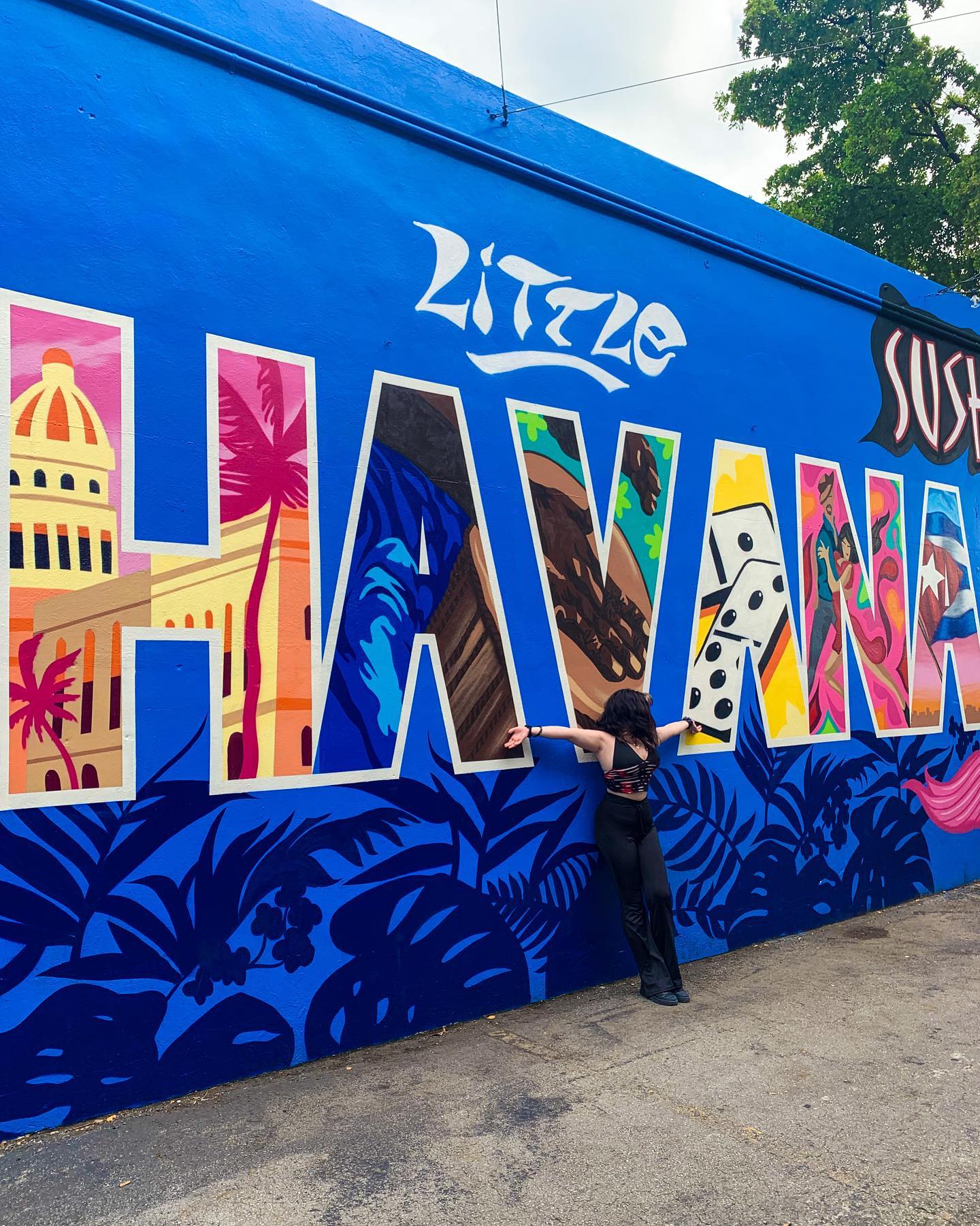 elsgatti instagram image archive image