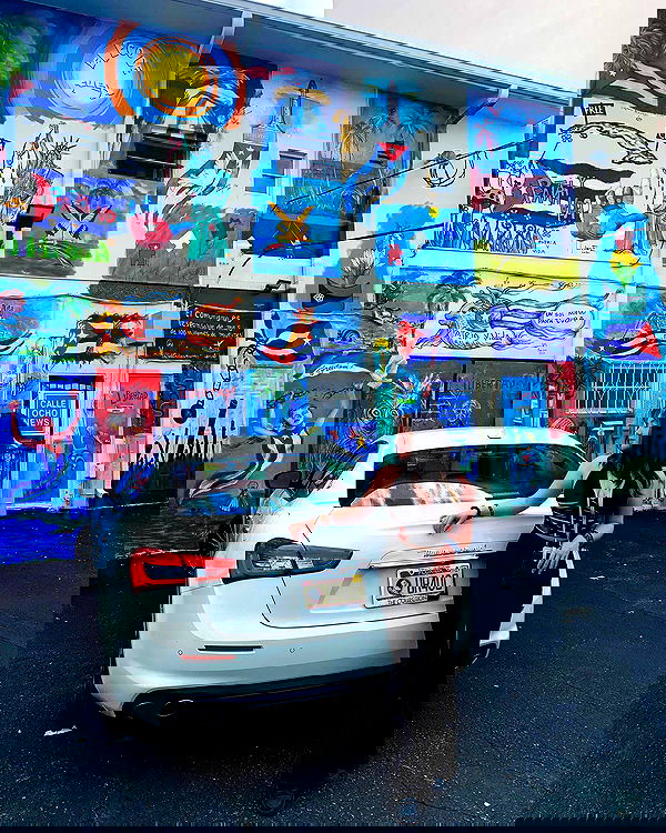 elsgatti image ~ Altpins