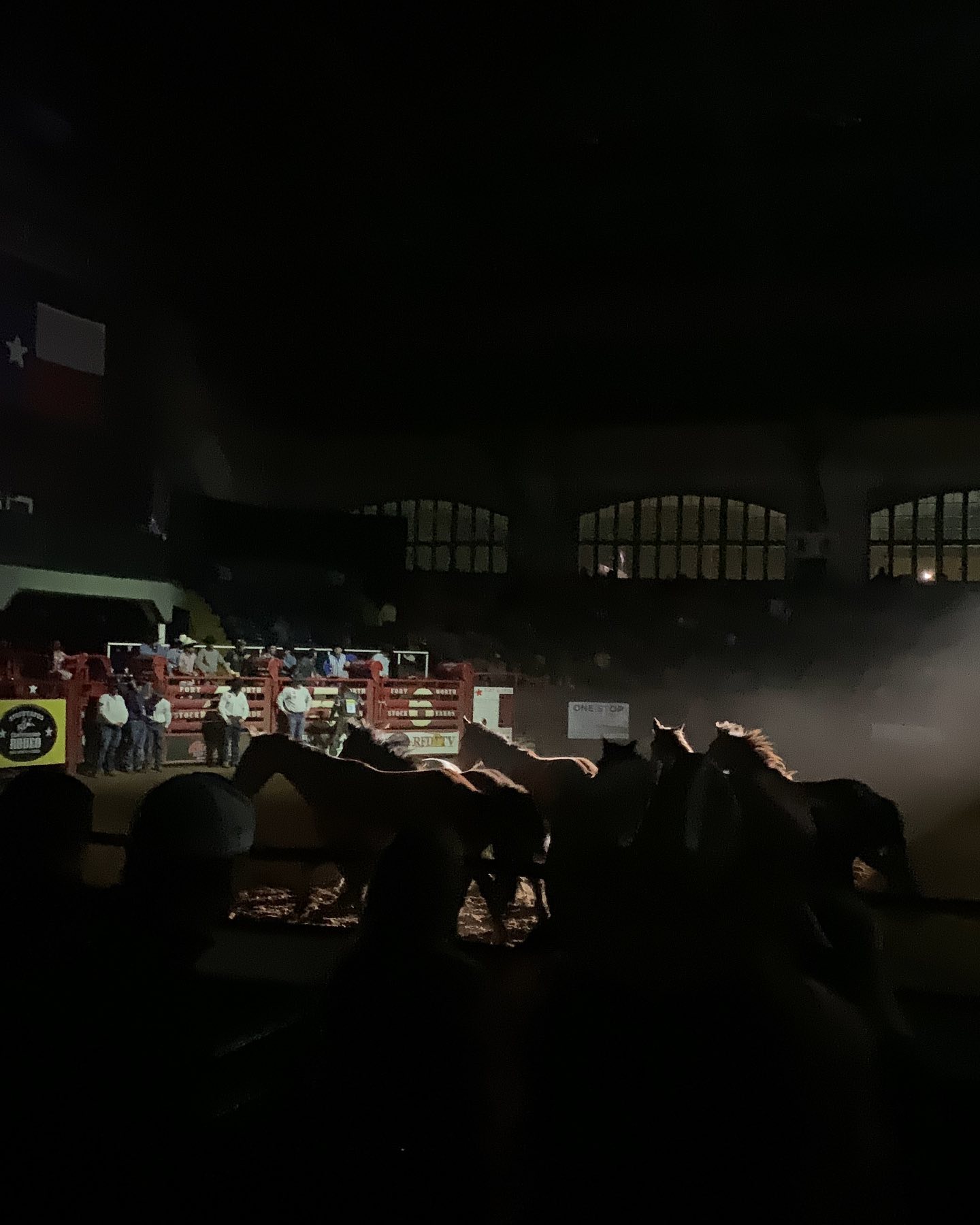 elsgatti instagram image archive image