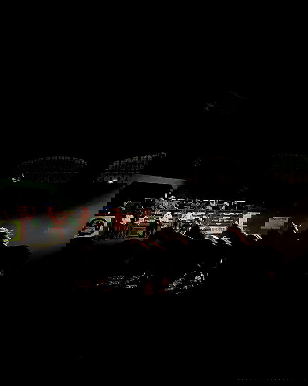 elsgatti image ~ Altpins