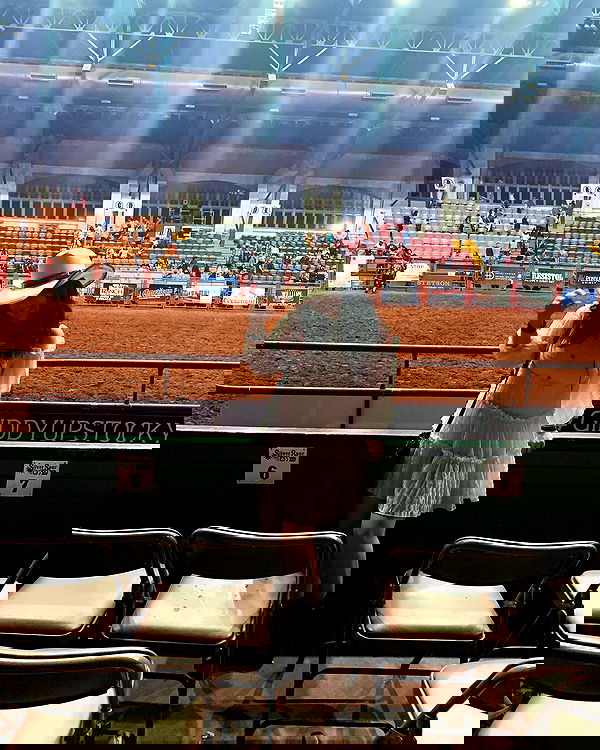 elsgatti image ~ Altpins