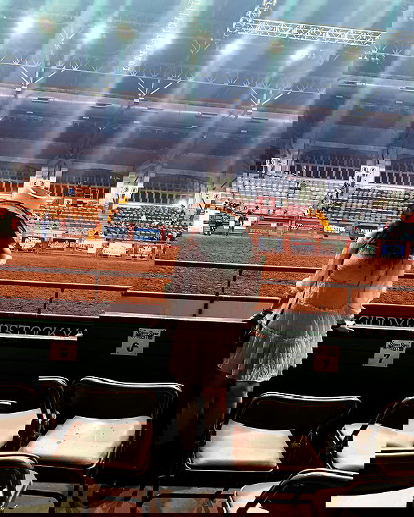 elsgatti image ~ Altpins