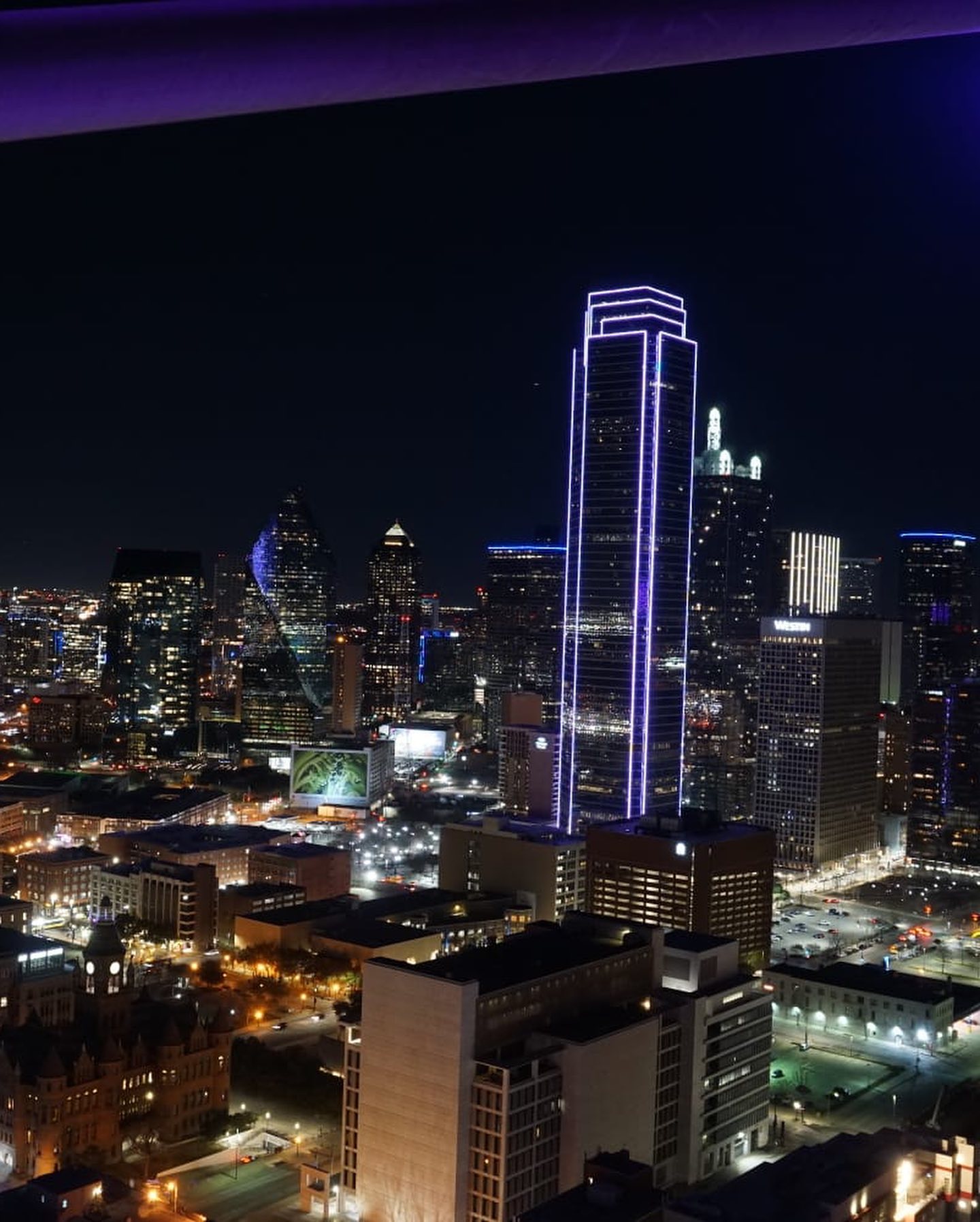 elsgatti instagram image archive image