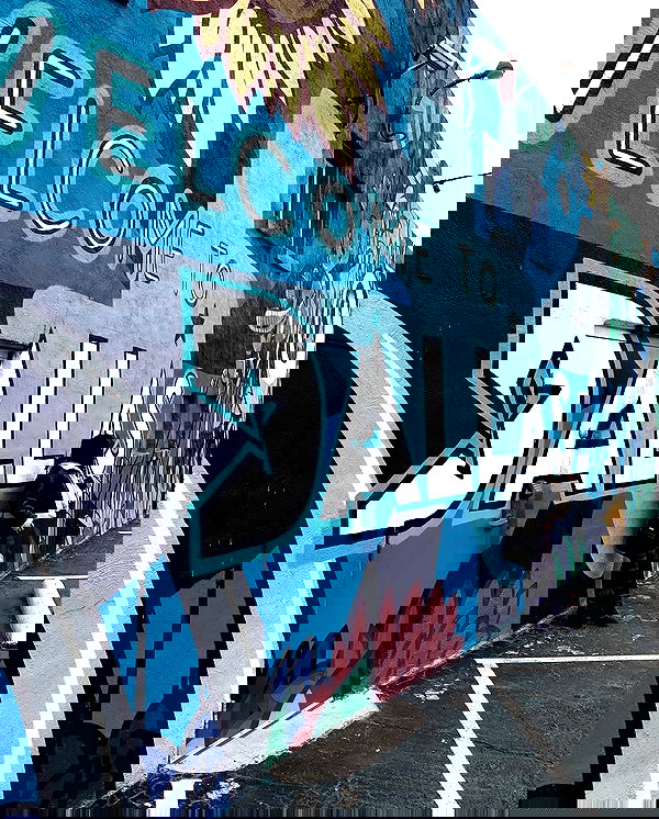 elsgatti image ~ Altpins