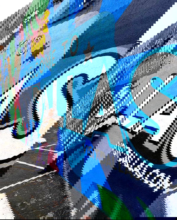 elsgatti image ~ Altpins