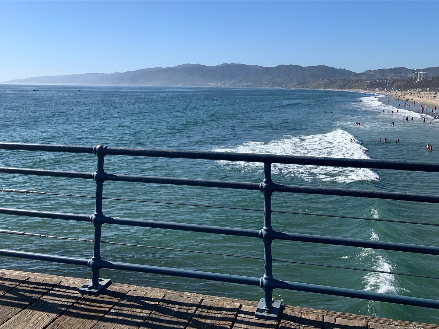 elsgatti instagram image archive image