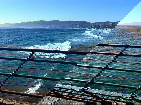 elsgatti image ~ Altpins