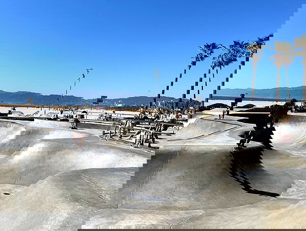 elsgatti image ~ Altpins