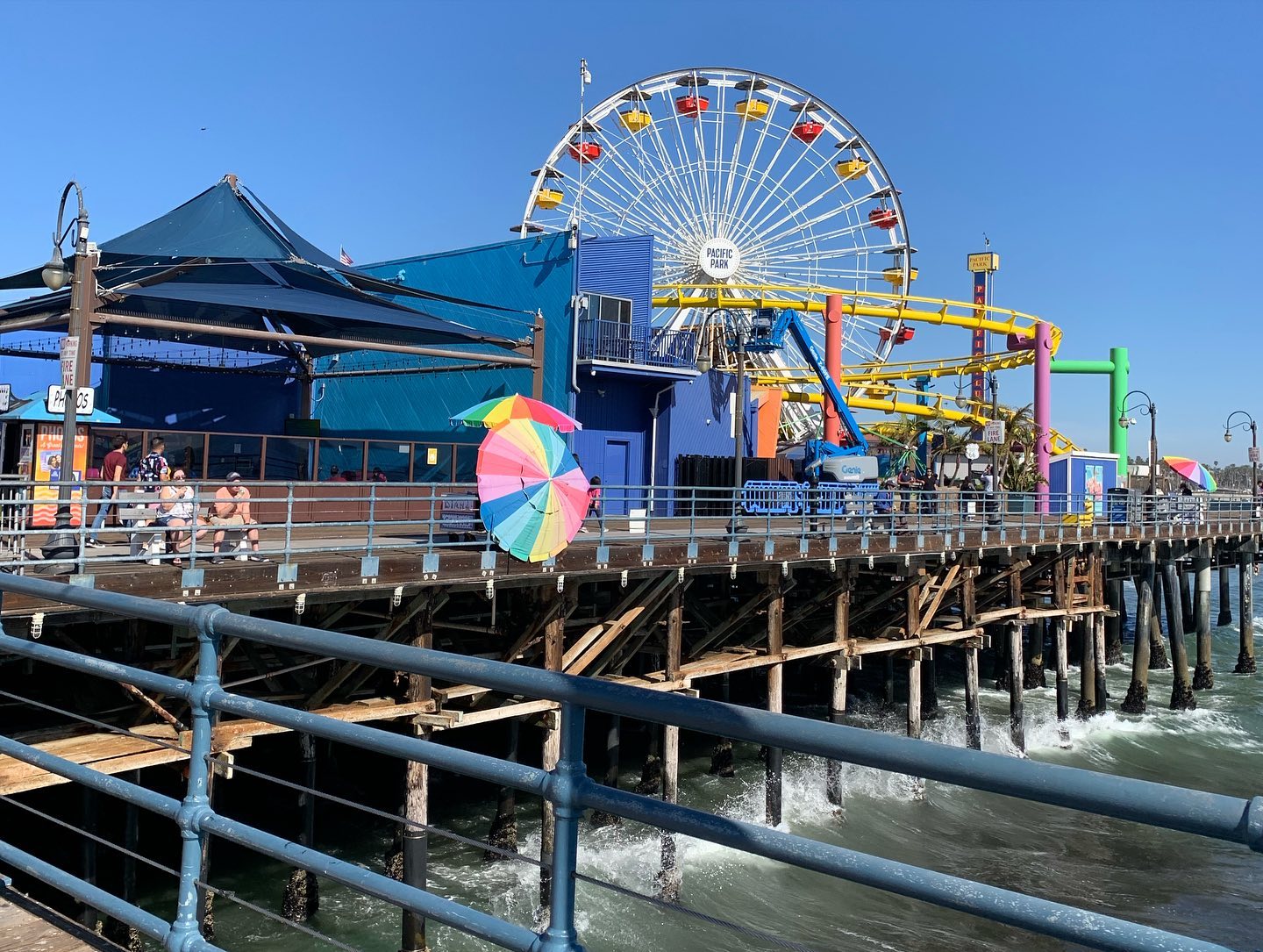 elsgatti instagram image archive image