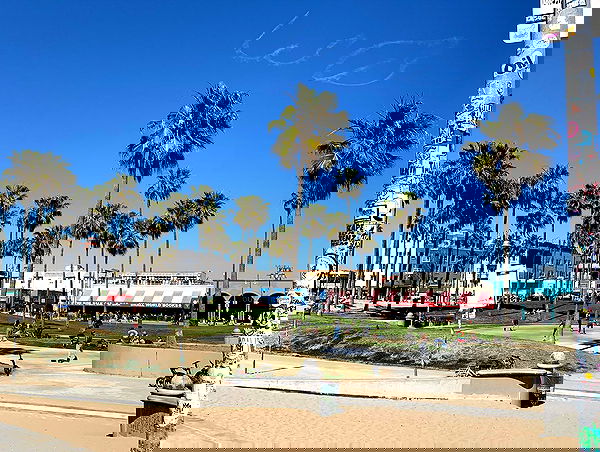 elsgatti image ~ Altpins