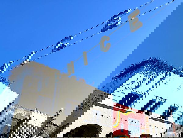 elsgatti image ~ Altpins