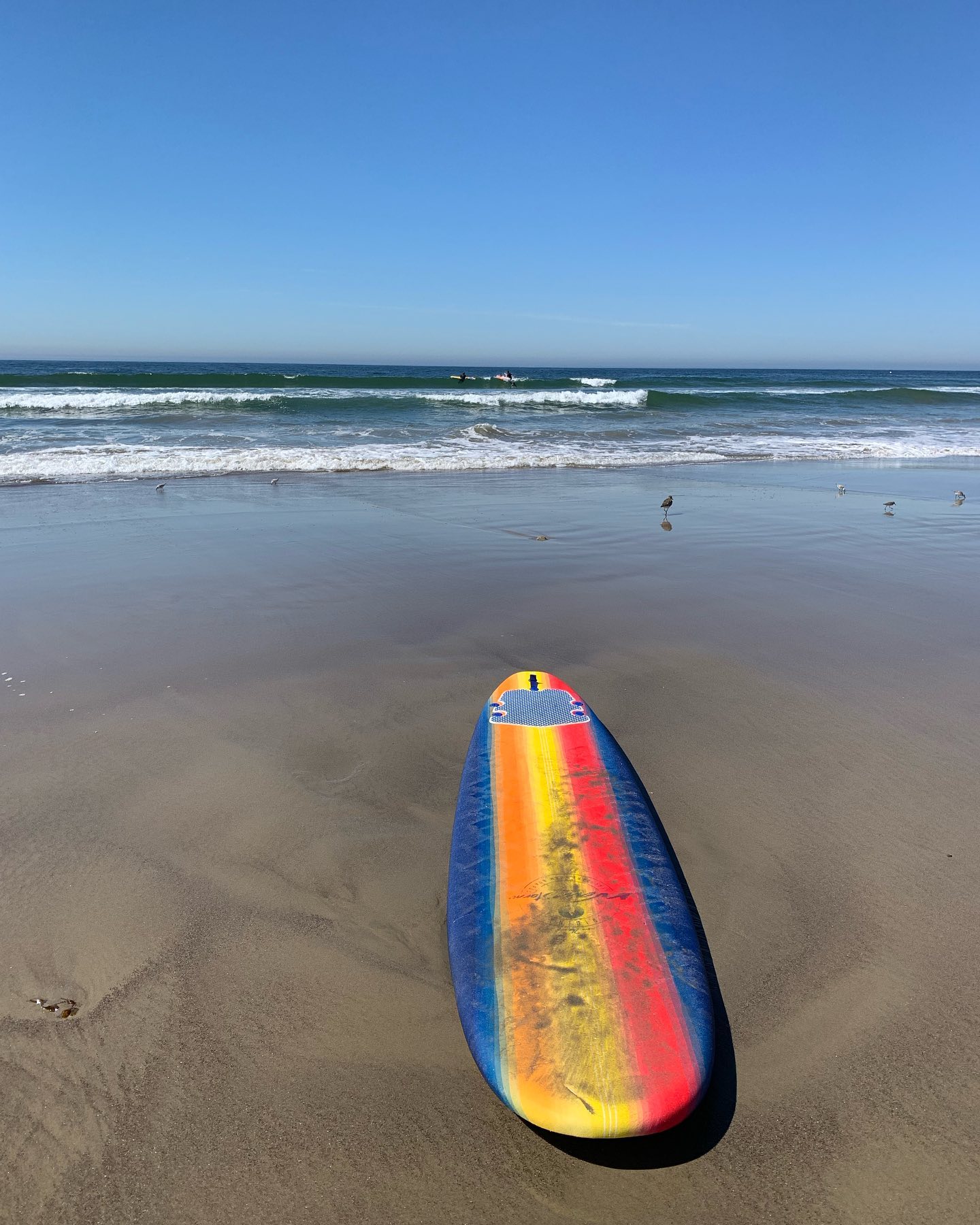 elsgatti instagram image archive image