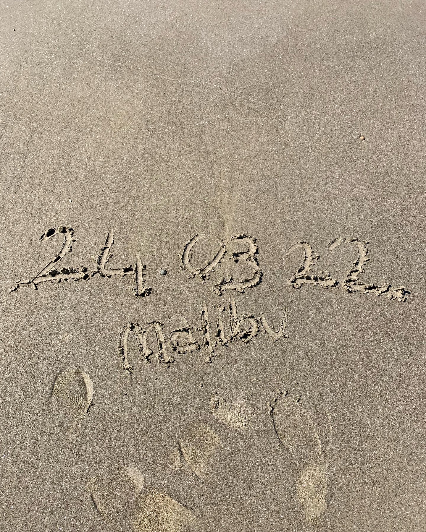 elsgatti instagram image archive image