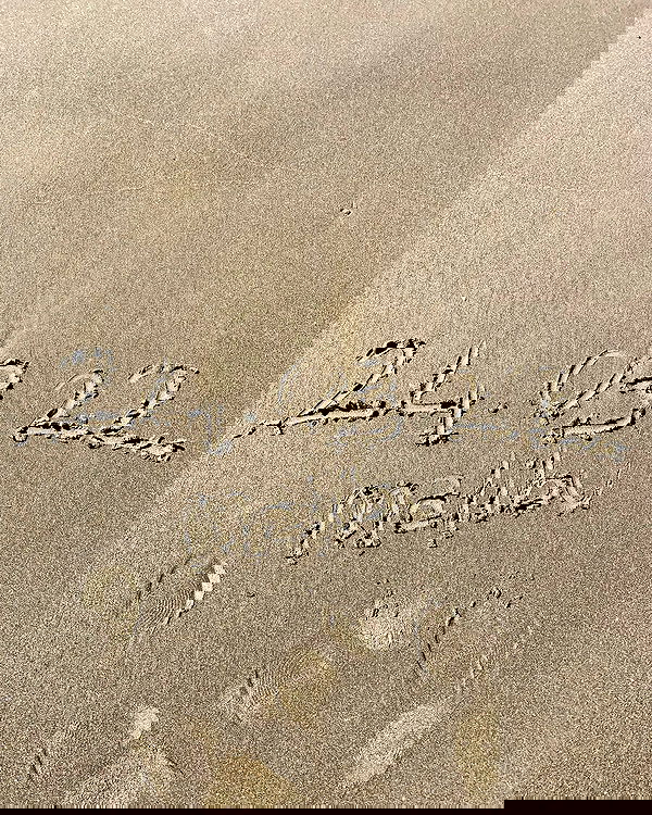 elsgatti image ~ Altpins