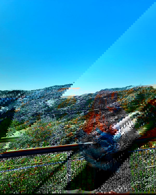 elsgatti image ~ Altpins