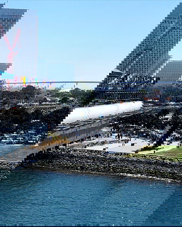 elsgatti image ~ Altpins