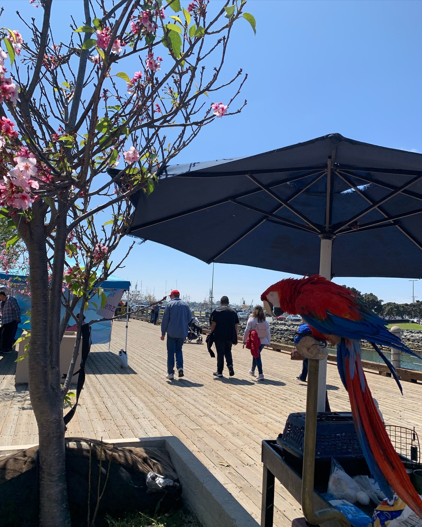 elsgatti instagram image archive image