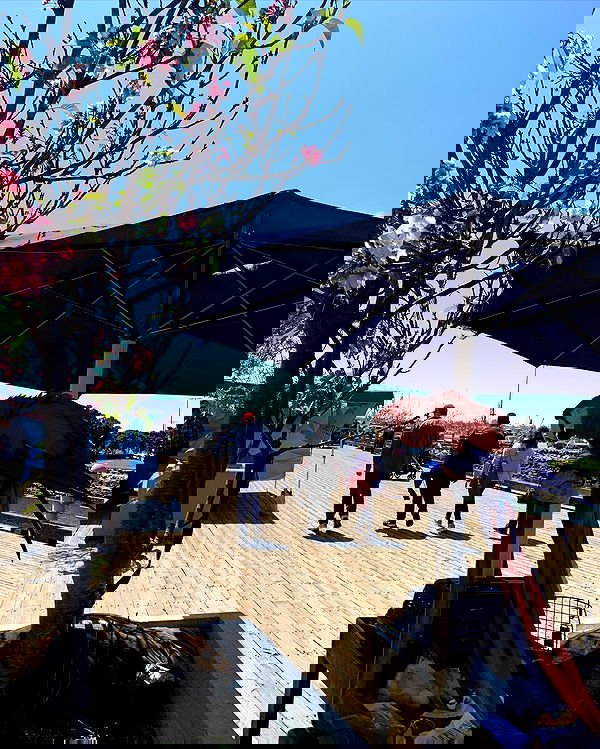 elsgatti image ~ Altpins