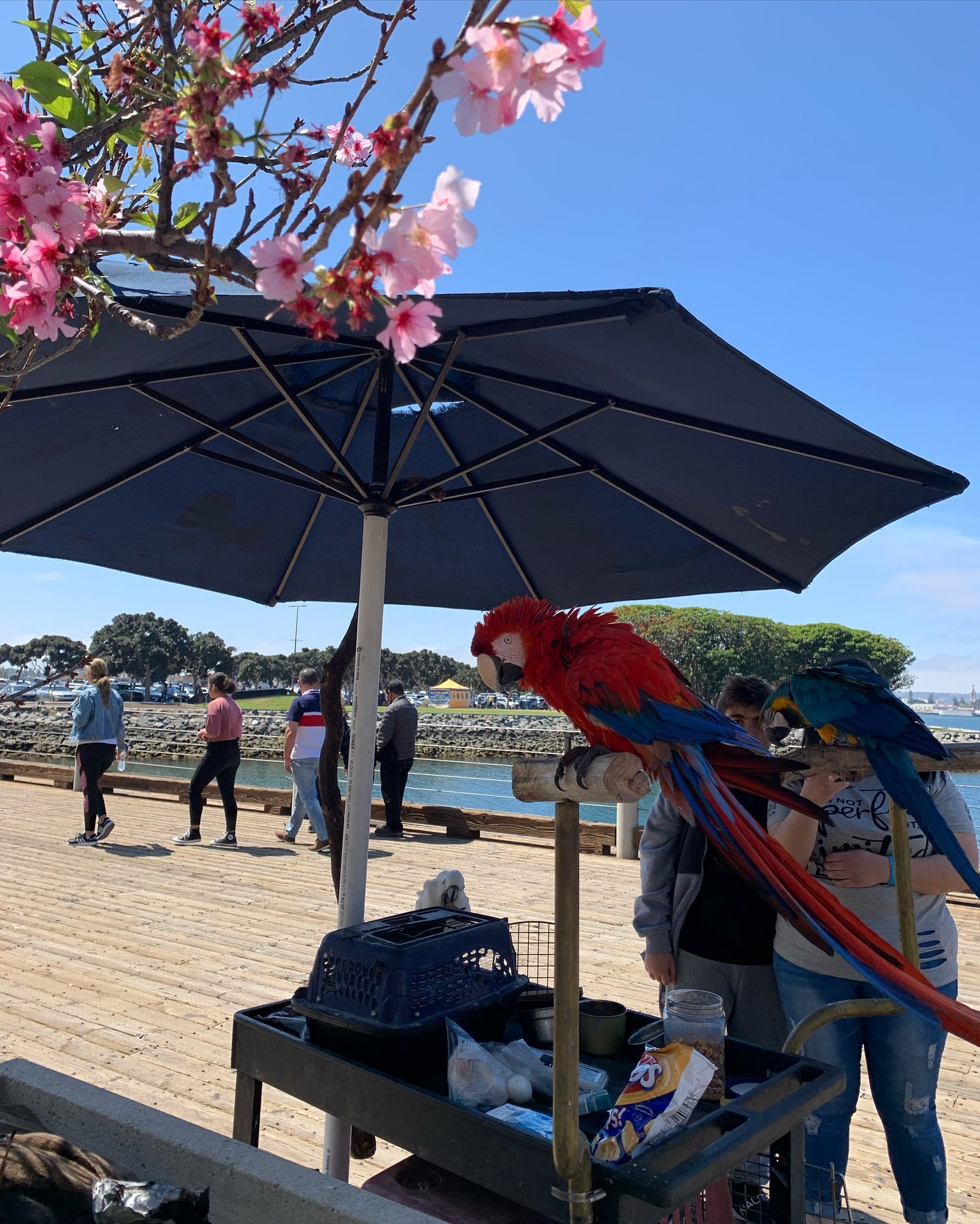 elsgatti instagram image archive image