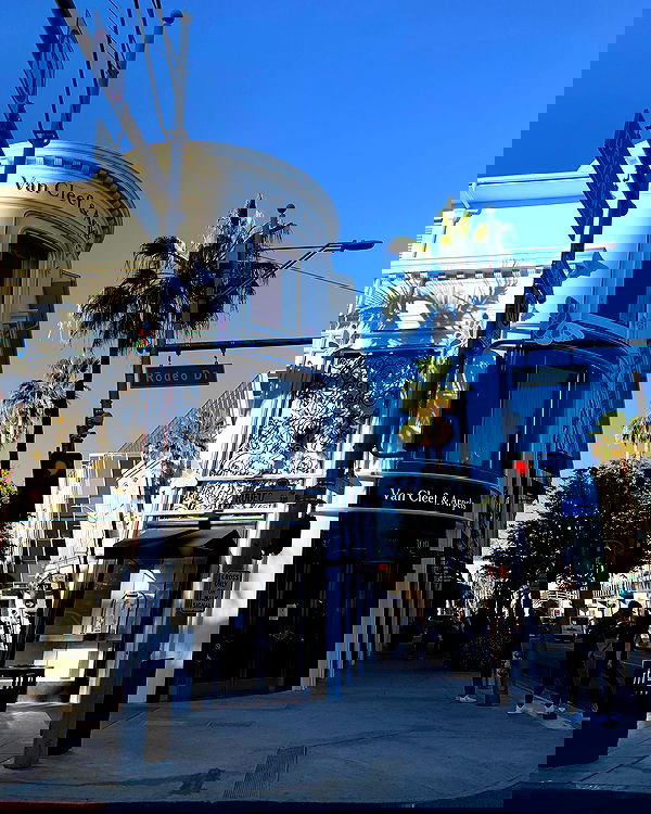 elsgatti image ~ Altpins