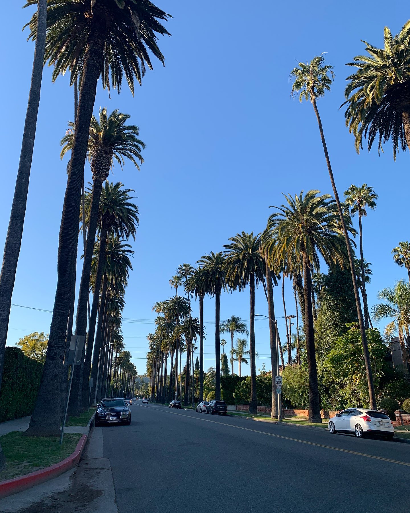 elsgatti instagram image archive image