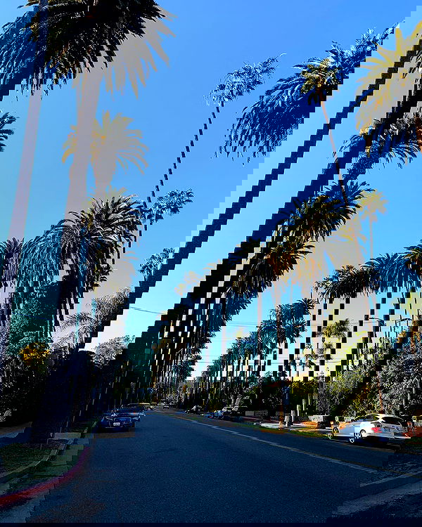 elsgatti image ~ Altpins