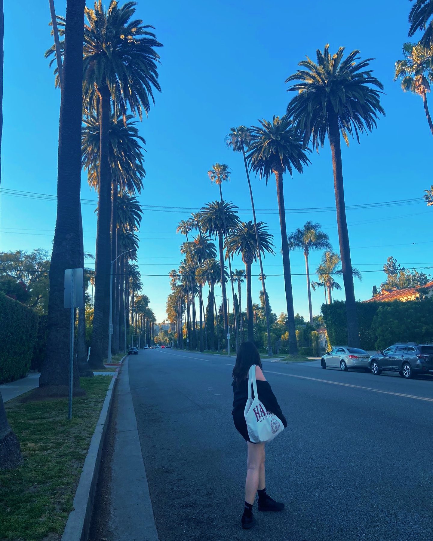 elsgatti instagram image archive image