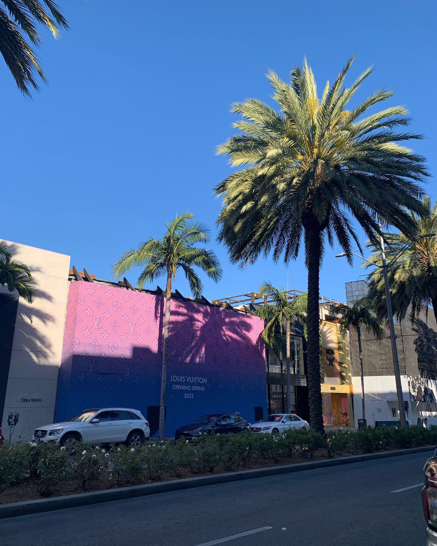 elsgatti instagram image archive image