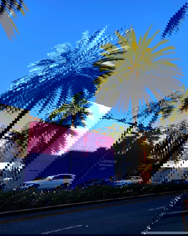 elsgatti image ~ Altpins