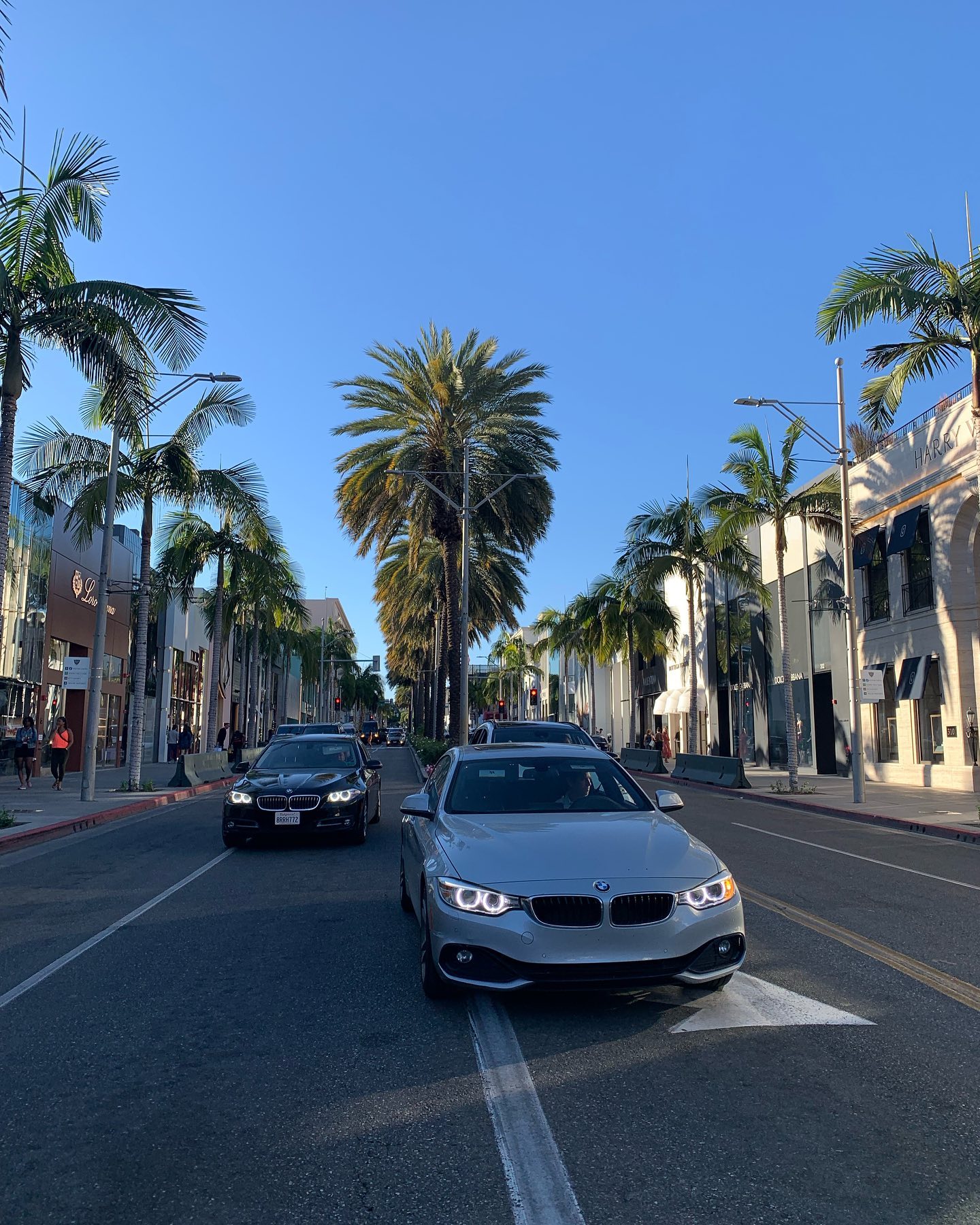 elsgatti instagram image archive image