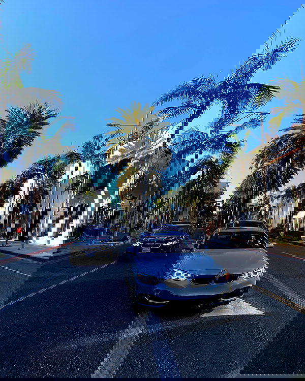 elsgatti image ~ Altpins