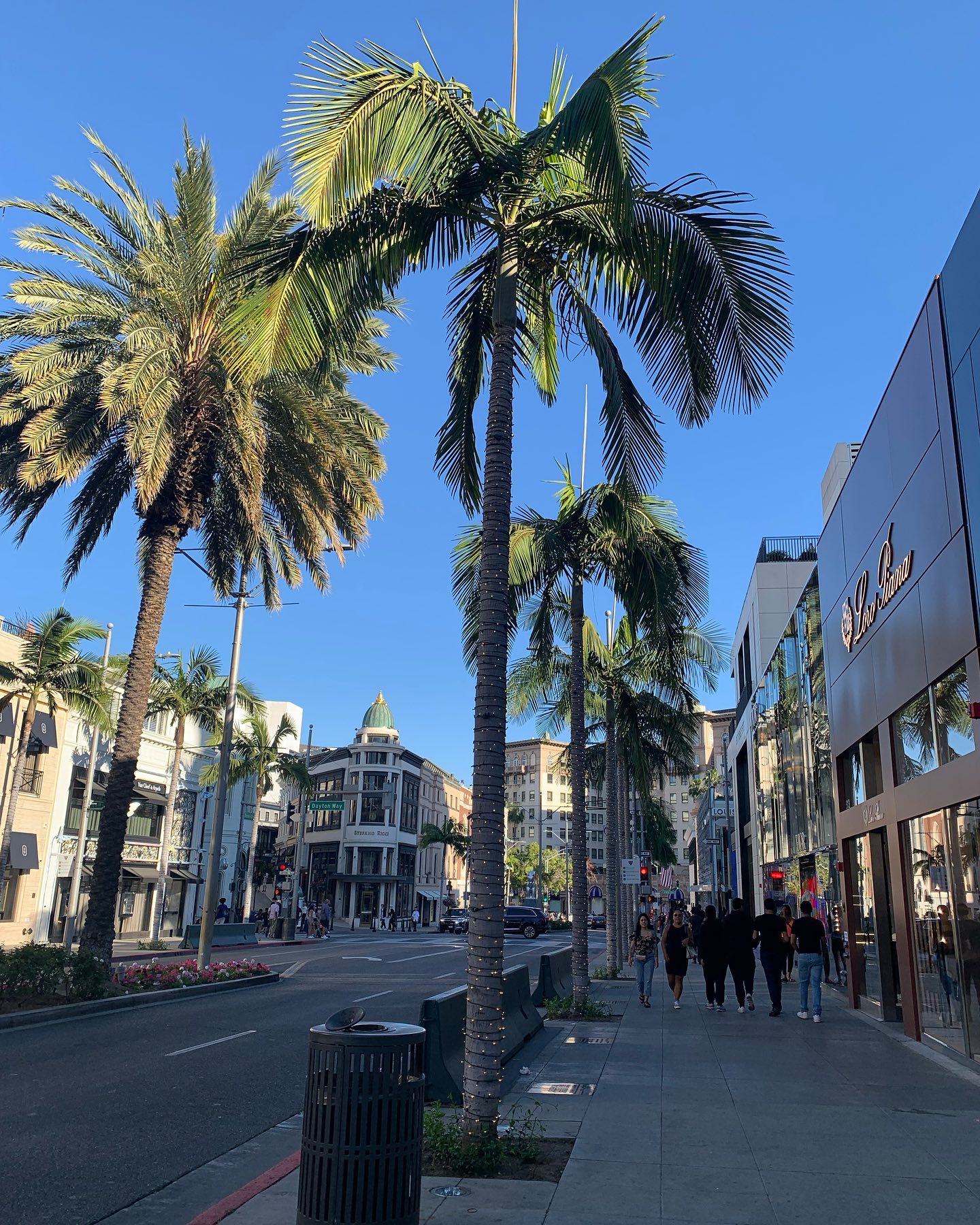 elsgatti instagram image archive image