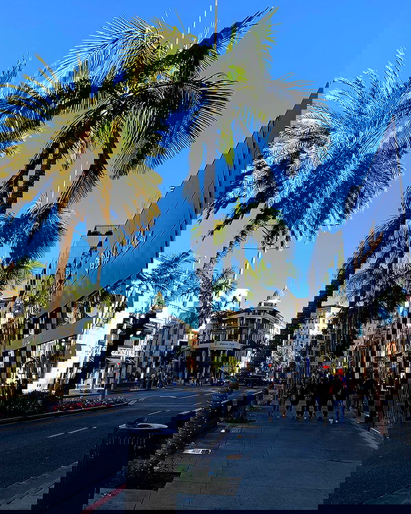 elsgatti image ~ Altpins