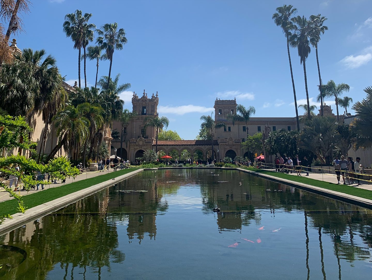 elsgatti instagram image archive image