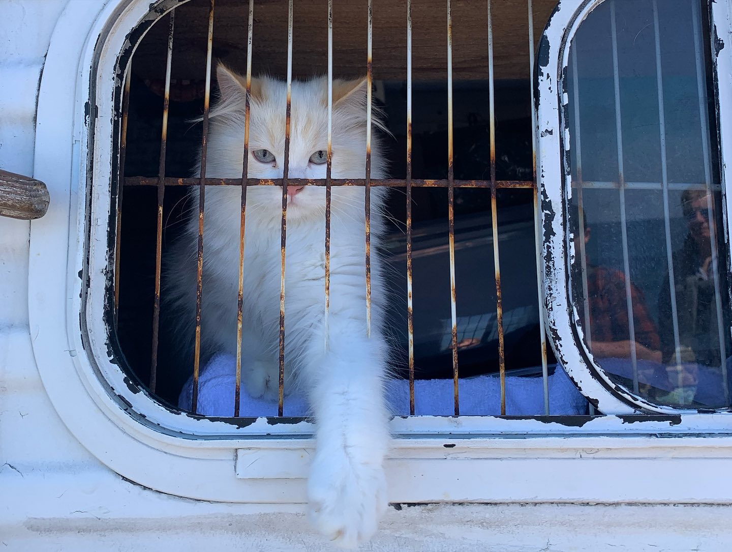 elsgatti instagram image archive image