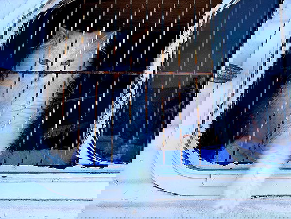 elsgatti image ~ Altpins