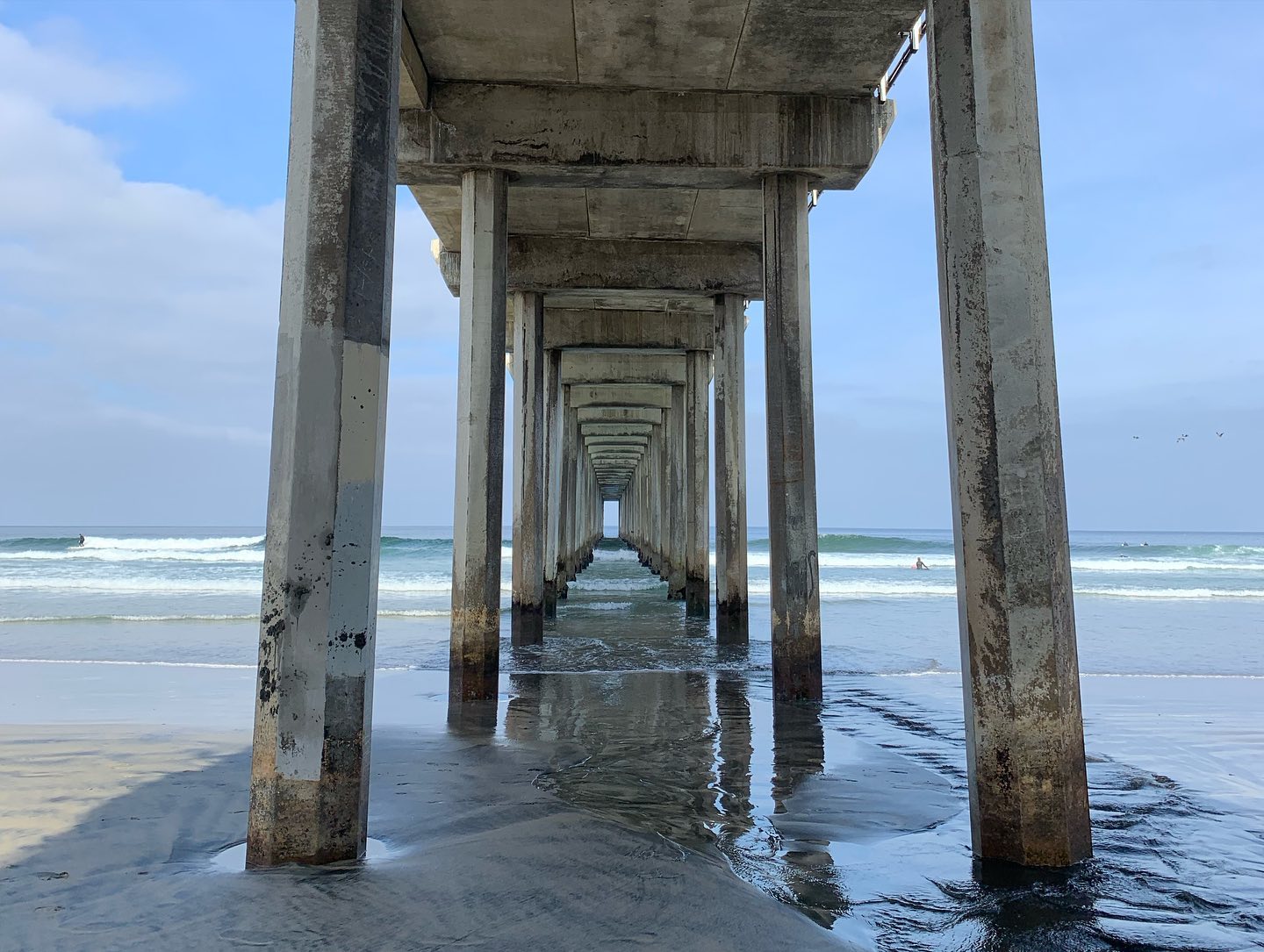 elsgatti instagram image archive image