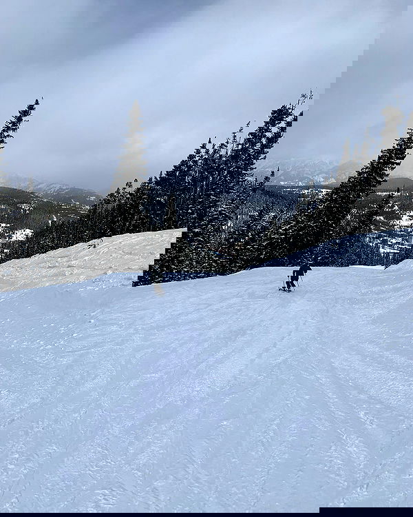 elsgatti image ~ Altpins