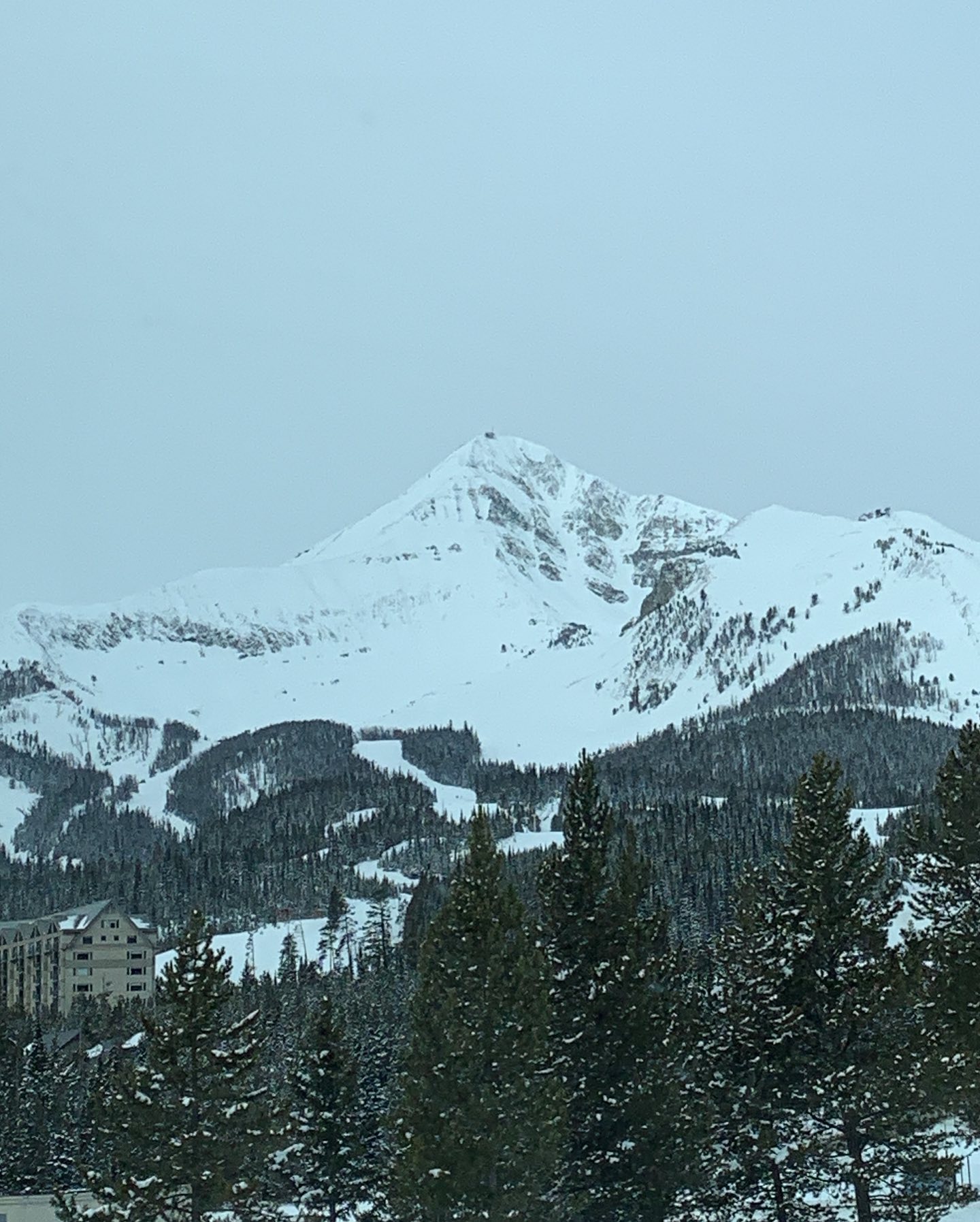 elsgatti instagram image archive image