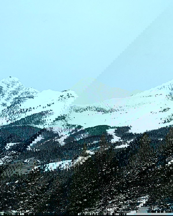 elsgatti image ~ Altpins