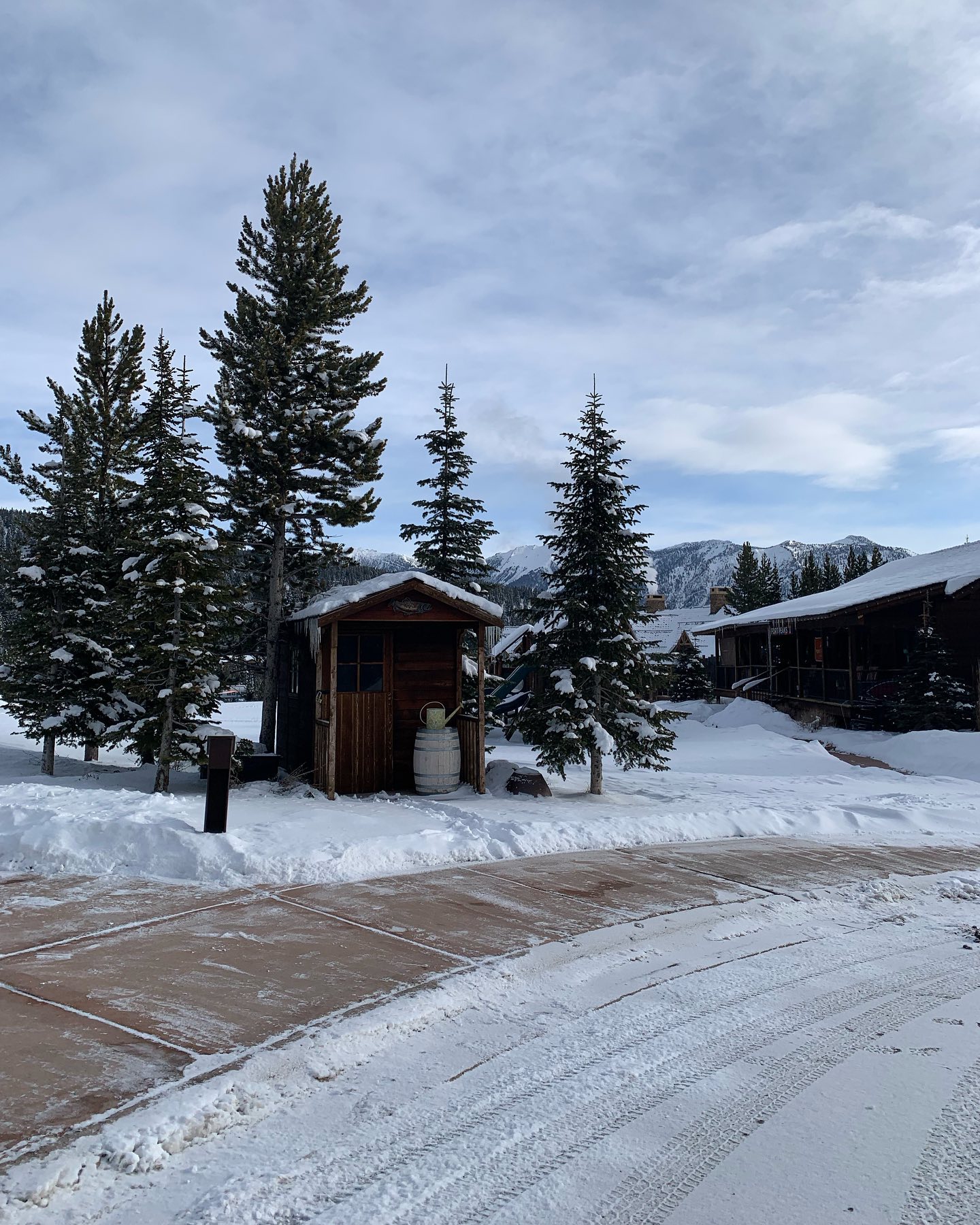 elsgatti instagram image archive image