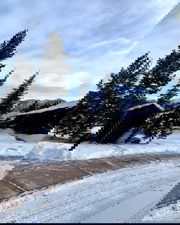 elsgatti image ~ Altpins