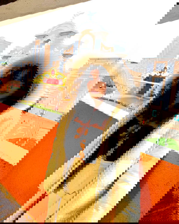 elsgatti image ~ Altpins