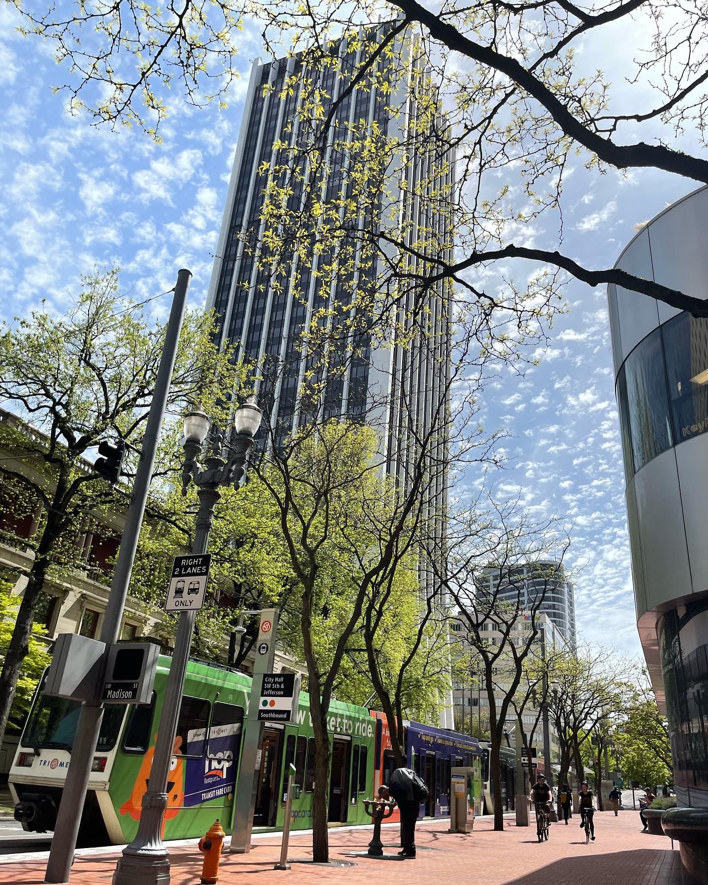 elsgatti instagram image archive image