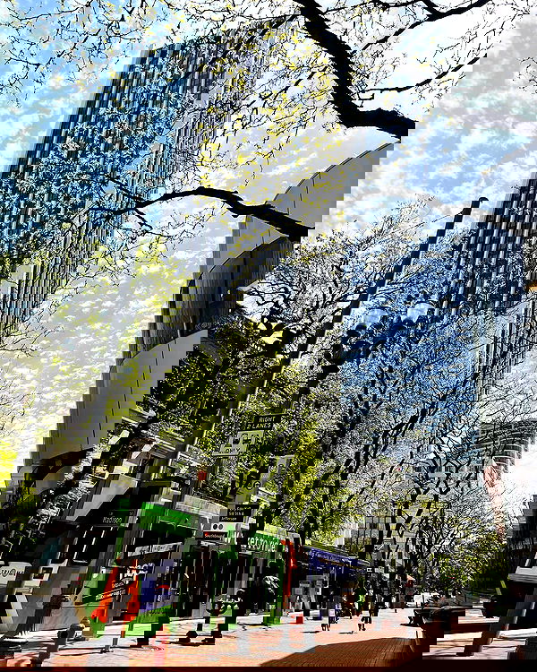 elsgatti image ~ Altpins