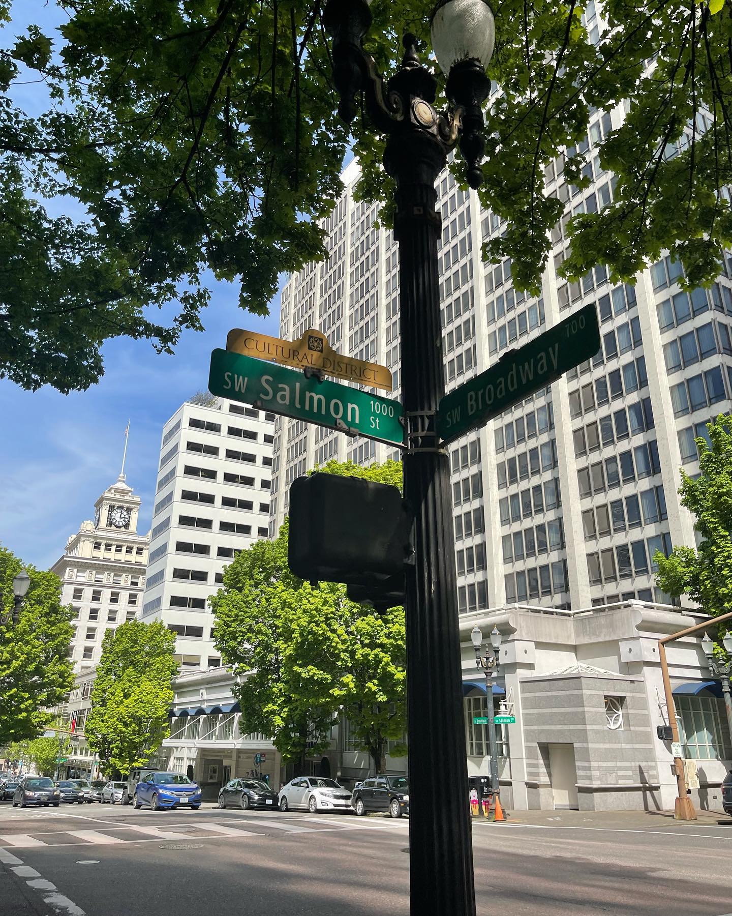 elsgatti instagram image archive image