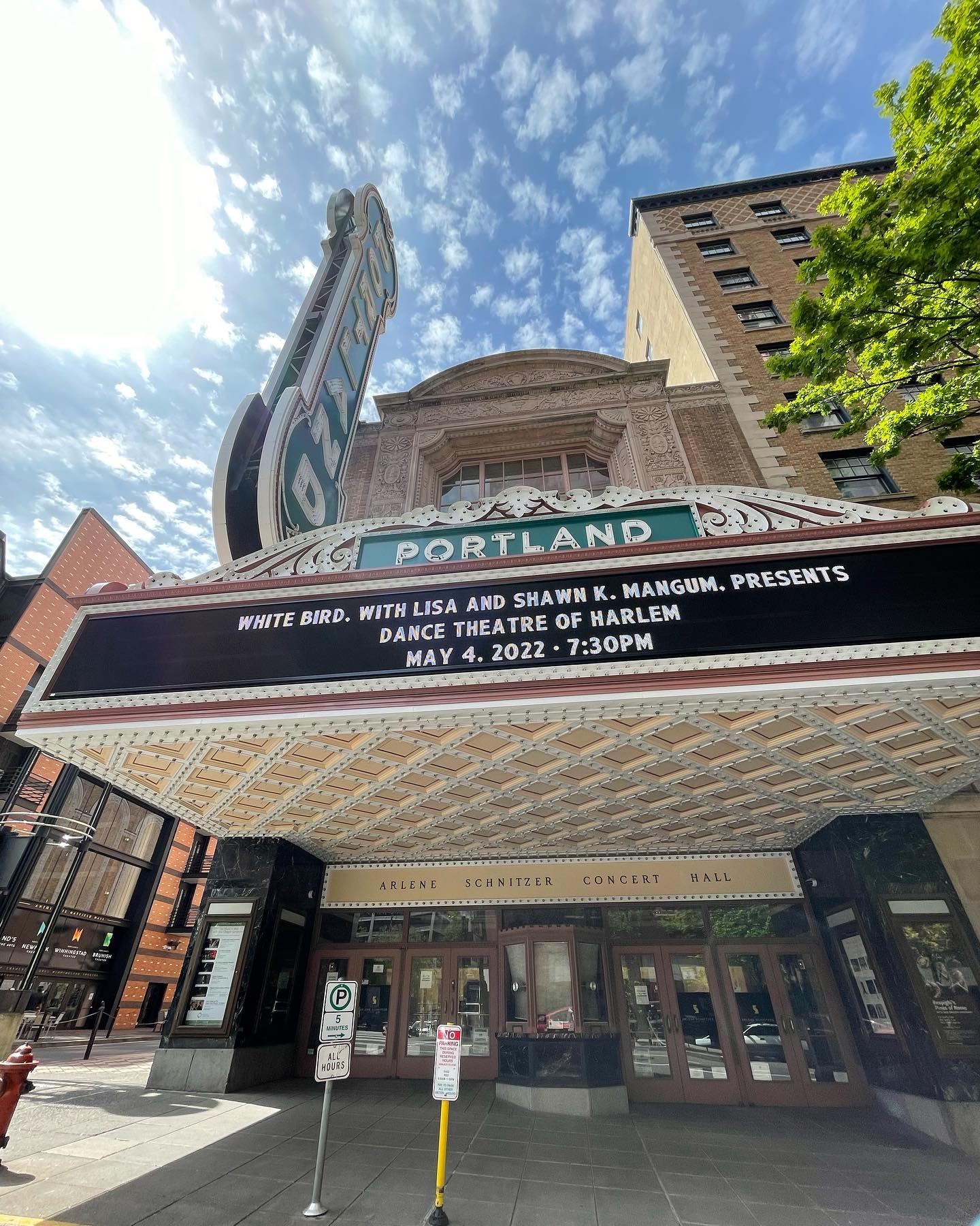 elsgatti instagram image archive image