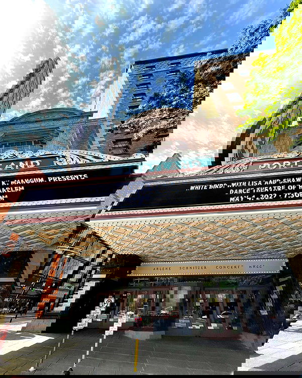 elsgatti image ~ Altpins