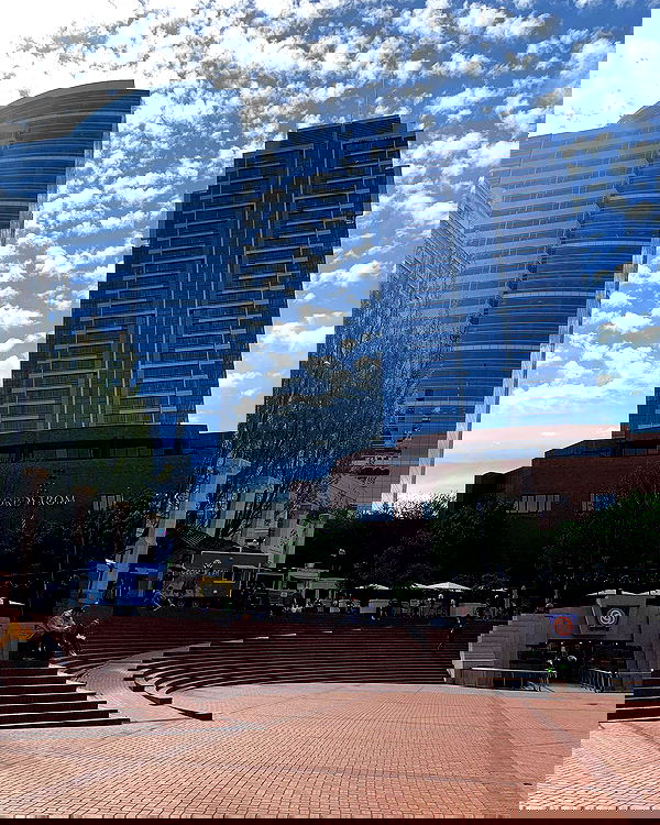 elsgatti image ~ Altpins